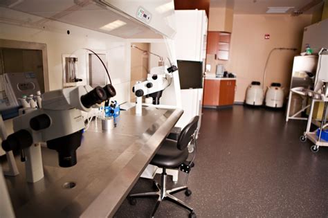 Boston ivf waltham - Boston IVF - The Waltham Center. 130 Second Avenue. Waltham, MA 02451-1100. Driving Directions . Phone: (781) 434-6500 Ex: 0. Fax: (781) 438-9601 Ex: 0. General Information. Board Certifications. American Board of Obstetrics and Gynecology. American Board of Obstetrics and Gynecology (Rep Endocrinology) ...
